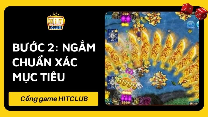 Bước 2: Ngắm chuẩn xác mục tiêu